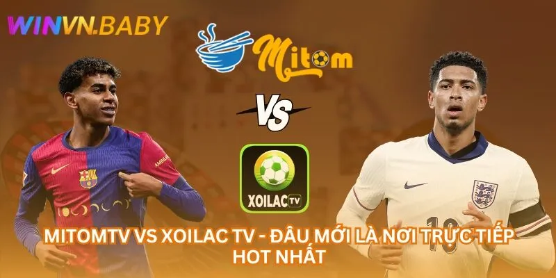 Mitomtv vs Xoilac Tv - Đâu Mới Là Nơi Trực Tiếp Hot Nhất